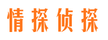 天镇侦探调查公司